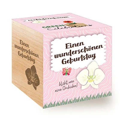 Immagine di Feel Green 296572 Celebrations Ecocube, Albero di Orchidea, cubo Legno con Incisione Laser «Un Bel Compleanno», Idea Regalo sostenibile, Prodotto in Austria