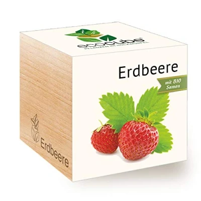 Immagine di Feel Green Ecocube Semi di Fragola biologici, Idea Regalo sostenibile (100% Eco Friendly), Grow Your Own/Set Coltivazione, Piante nel Dado Legno, Made in Austria