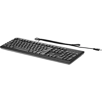 Immagine di HP QY776AA USB Standard Keyboard Tastiera