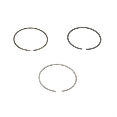 Immagine di GOETZE ENGINE 08 442300 00 Kit Fasce Elastiche 71 VOLKSWAGEN: GOLF 6, Caddy 3, Polo V Hatchback, AUDI: A3 Sportback, Hatchback