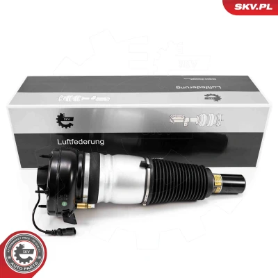 Immagine di Gamba elastica con ammortiz. pneumatico ESEN SKV 58SKV702