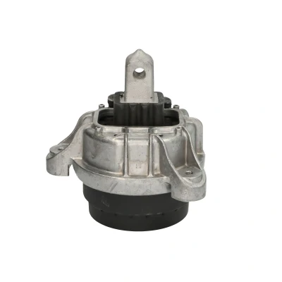 Immagine di DELPHI TEM253 Supporto motore posteriore BMW: 5 Touring, Sedan, GT