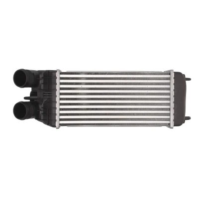 Immagine di THERMOTEC DAP003TT Intercooler 300 157 80 CITROËN: C4 II Cactus, DS3 Hatchback, C3 III, PEUGEOT: 208 I Partner Tepee