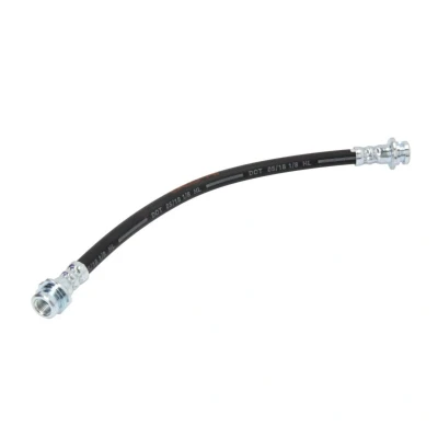 Immagine di DELPHI LH6411 Tubi Freno 301 M10x1 Int SF NISSAN: MICRA 3