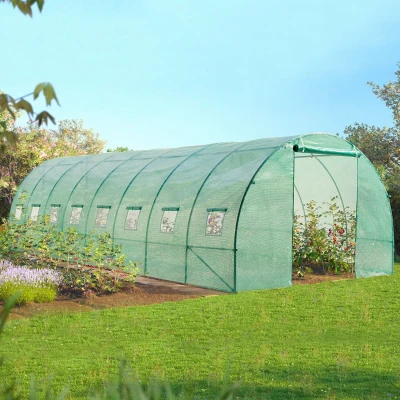 Immagine di ProBache Grande Serra da giardino Tunnel ortofrutticola Pro galvanizzata 24 m² 8 x 3 2 m