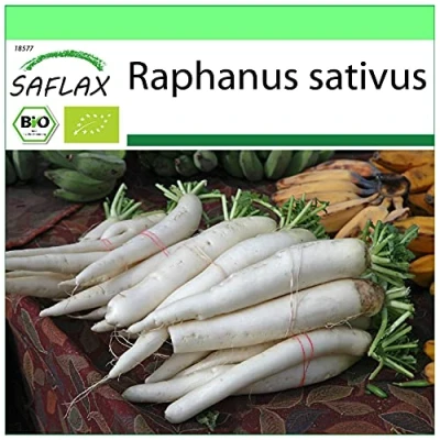 Immagine di SAFLAX BIO Ravanello Daikon giapponese 100 semi Raphanus sativus