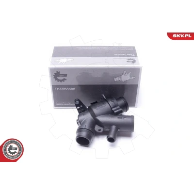 Immagine di ESEN SKV 20SKV169 Termostato, Refrigerante
