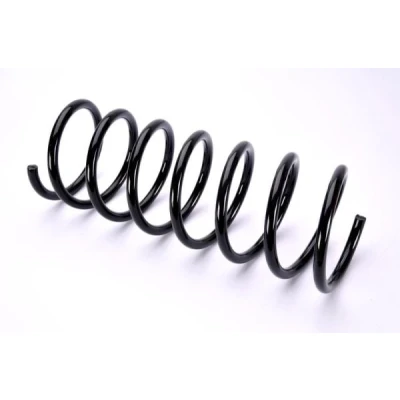 Immagine di Magnum Technology SB024MT Molle ammortizzatori Assale anteriore Molla ad elica