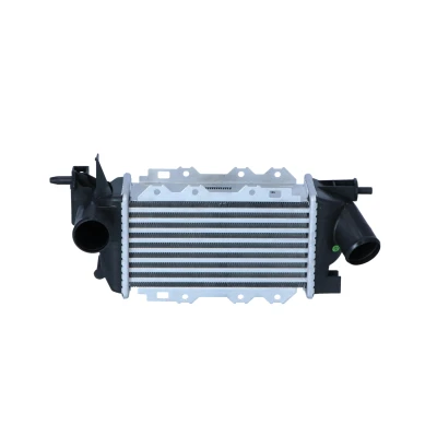 Immagine di NRF 30309 Intercooler