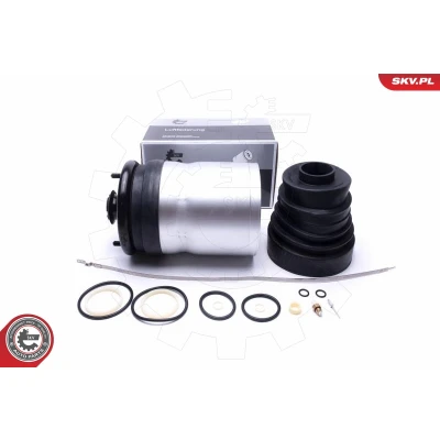 Immagine di ESEN SKV 58SKV059 Gamba elastica con ammortiz. pneumatico posteriore LAND ROVER: Range Rover Sport