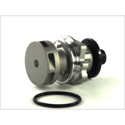 Immagine di THERMOTEC D1B018TT Pompa acqua con guarnizione meccanico BMW: 5 Sedan, 3 Coupe