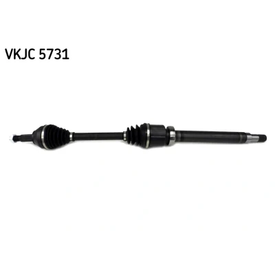 Immagine di SKF VKJC 5731 Albero motore / Semiasse 947, 370 con supporto/cuscinetto FORD: Focus Mk1 Hatchback