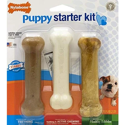 Immagine di Nylabone Puppy starter kit