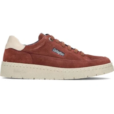 Immagine di Callaghan Sneakers sportive,lacci,cuneo,piattaforma,suola bianca in gomma,semplice,classica,camoscio, per: donna, Ruggine, 38 EU