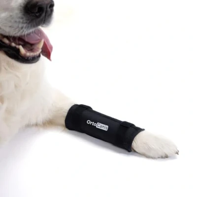 Immagine di Ortocanis Tutore per Carpo Cane Instabilità o Artrosi del al Carpo, Iperestensione Carpale Stabilizza e Riduce Il Dolore con Due Stecche di Immobilizzazione Taglia M 8 10 cm