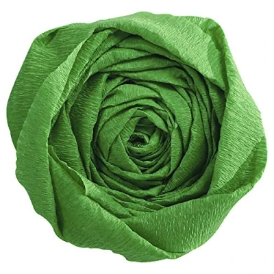 Immagine di Clairefontaine 903021C Pacco da 10 fogli di carta Crespa Colore verde Prato Formato 2,50x0,50m lavori crespatura 60% Elastica e Resistente hobby creativo, Bricolage Attività Manuali