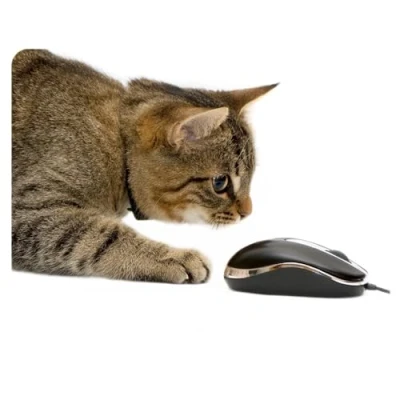 Immagine di younikat dv_996 Tappetino per mouse con motivo gatti, 24 x 19 cm, dimensioni standard, antiscivolo, ragazze, adolescenti e donne