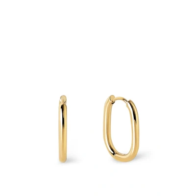 Immagine di SINGULARU Orecchini Cerchio Bossa. Acciaio con Finitura in Bagno d&#039;Oro 18Kt. Chiusura Congo/Click. Gioielli per Donna