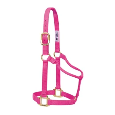 Immagine di Weaver Leather Cavezza originale per cavalli, in nylon, non regolabile, grande, rosa