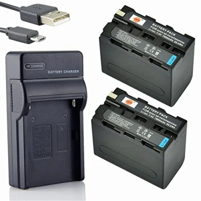 Immagine di DSTE NP F970 Li Ion Batteria (2 Pacco) e Caricabatterie USB Compatibile per Sony CCD TR716 TR818 TR910 TR917 TR930