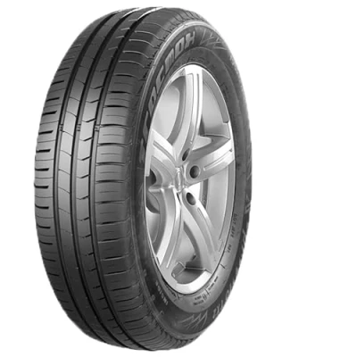 Immagine di Pneumatici TRACMAX X PRIVILO TX 2 165/65 R13 77T Estivi
