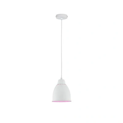 Immagine di PAULMANN 79764 Lampada a sospensione E27 Bianco