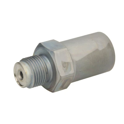 Immagine di Valvola di sovrapressione, sistema Common Rail BOSCH 1 110 010 034
