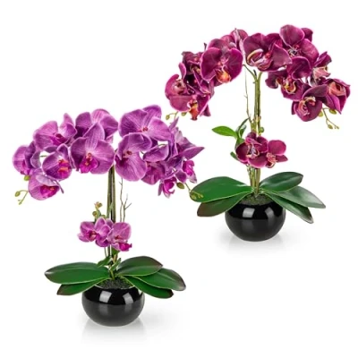 Immagine di PASCH® Set di 2 orchidee artificiali in vasi ceramica lucida (40 cm), fiori vaso, come veri, vaso