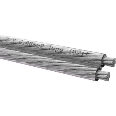 Immagine di Cavo per altoparlanti 2 x 6.0 mm² Trasparente Oehlbach D1C348 10 m