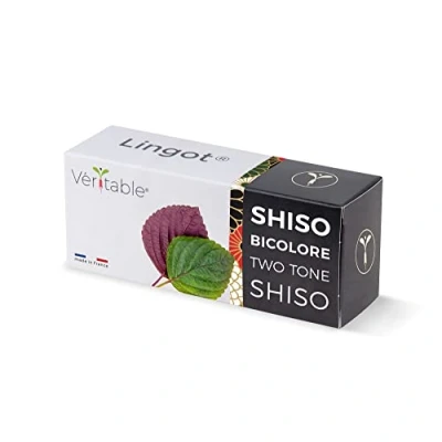 Immagine di Lingot® Shiso bicolore Compatibile con Orti Interni Véritable® ed Exky® Ricarica pronta all&#039;uso Substrato Semi Integrati