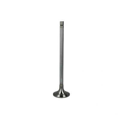 Immagine di TRW Engine Component 171111 valvola Aspirazione 47 stelo cromato, Terminale temprato
