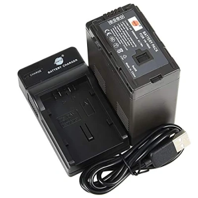 Immagine di DSTE VW VBG6 Batteria agli ioni di litio e caricabatterie micro USB, compatibile con Panasonic NV GS90, GS98, PV GS500, SDR H90, H258