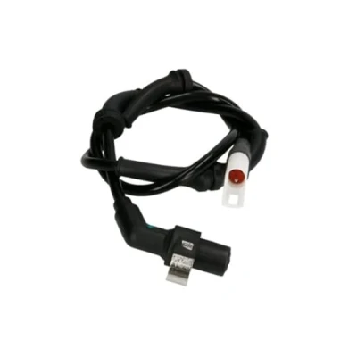 Immagine di DELPHI SS20018 Sensore ABS passivo 800