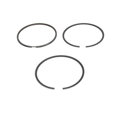 Immagine di GOETZE ENGINE 08 428000 00 Kit Fasce Elastiche 135