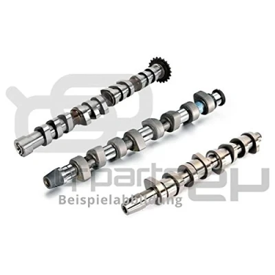 Immagine di KOLBENSCHMIDT 50007576 Albero a Camme Lato scarico VOLKSWAGEN: Golf 5, Touran I, Passat B6 Variant, AUDI: A3 Sportback, A4 B7 Avant, Hatchback