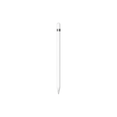 Immagine di Apple Pencil con USB C Lightning Adattatore