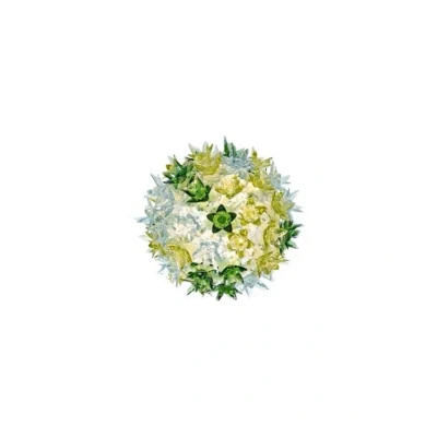 Immagine di Bloom CW2 AP