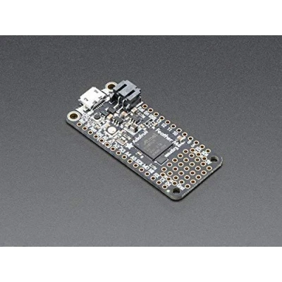 Immagine di Adafruit Feather M4 Express con ATSAMD51 (ATSAMD51 Cortex M4)