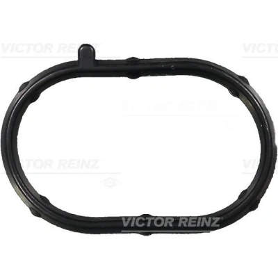 Immagine di REINZ 71 35682 00 Guarnizione, Alloggiam. collettore aspirazione FIAT: Punto II Hatchback, Doblo I Cargo