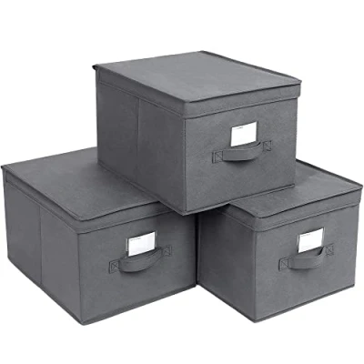 Immagine di SONGMICS Set di 3 scatole portaoggetti pieghevoli con coperchi, cubo in tessuto mon portaetichette, cestino, organizzatore, cassa, 40 x 30 25 cm, grigio RFB03G