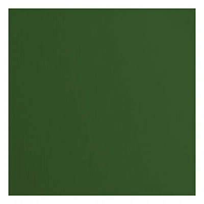 Immagine di Cartoncino Florence Testurizzata Materiali per Biglietti colorati 30,5 x cm Pine 20 Fogli Carta Scrapbooking, Biglietti, Fustellatura e Progetti con 216 gsm Verde