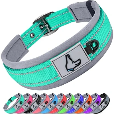 Immagine di Joytale Collare Cane, Catarifrangente Collari per Cani Regolabile con Imbottitura, Cane Taglia Piccola, Turchese, S