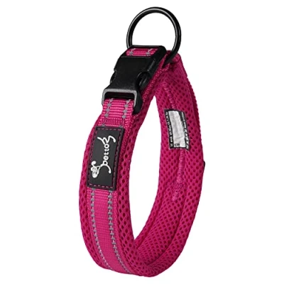 Immagine di PETTOM Collare Cane Cani Cuccioli Piccola Taglia Media Grande con Targhetta Nome Riflettente Morbido Regolabile Imbottito Sicurezza Nylon Resistente Traspirante (Viola M)