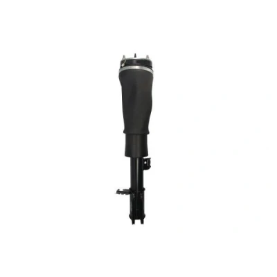 Immagine di Magnum Technology APL018MT Gamba elastica con ammortiz. pneumatico anteriore Dx LAND ROVER: Range Rover 3