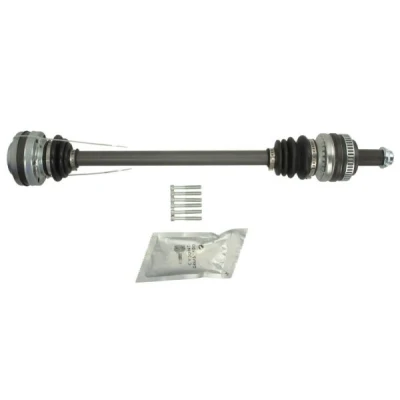 Immagine di Albero motore/Semiasse PASCAL G2B014PC
