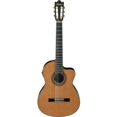 Immagine di Ibanez GA6CE AM Chitarra