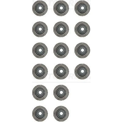 Immagine di REINZ 12 54206 01 Kit guarnizioni, Gambo valvola CHEVROLET: Spark, Aveo / Kalos Hatchback