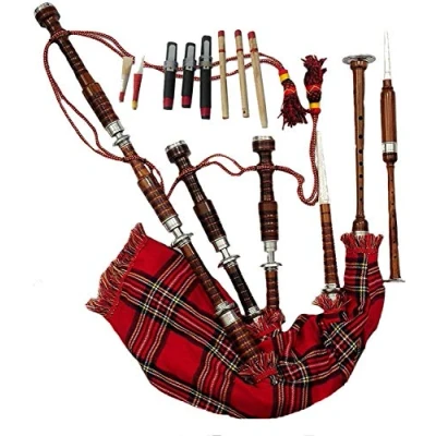 Immagine di Scottish Great Highland Bagpipe palissandro naturale argento supporti con custodia rigida &amp; tutor libro