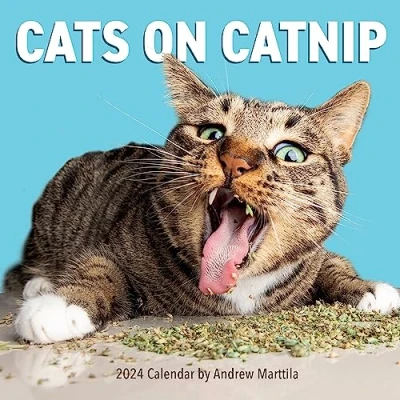 Immagine di Cats on Catnip 2024 Calendar: A Year of Living the High Life and Feeling Niiiiice