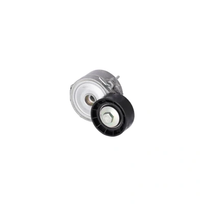 Immagine di FEBI BILSTEIN 36660 Tendicinghia CITROËN: Xsara Picasso, Berlingo II, C4 I Hatchback, PEUGEOT: 206 SW, 207 SW